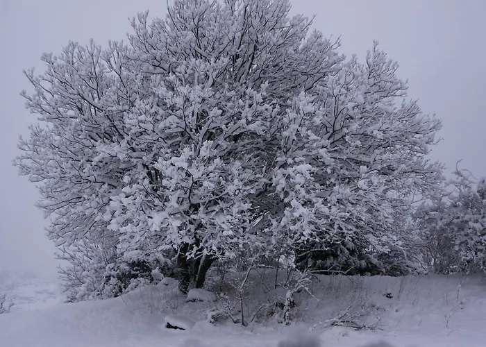 Apartahotel Tres Quiñones 3*